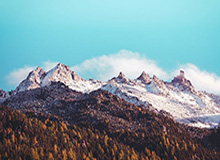 C7 Gaming-国王杯决赛门票分配：马竞和皇社各占40%，赞助商分享余票|西班牙足协|皇家社会|马德里竞技|足协|球票_新浪体育_新浪新闻